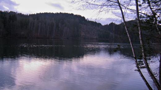 Přehrada Nemilka na Zábřežsku se z vodárenské nádrže proměnila v jezero s půvabnou okolní přírodou téměř nedotčenou lidmi