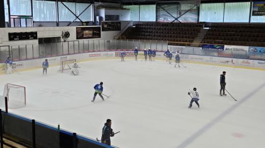 Mezinárodní hokejová škola v Pelhřimově