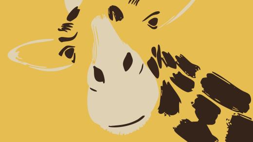 Jindřich Plachta: Pučálkovic Amina