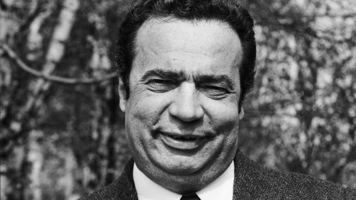 Vladimír Menšík (1978)