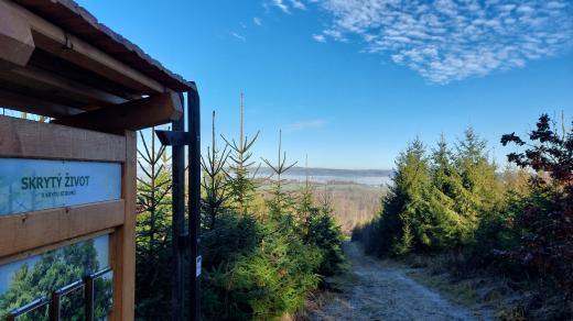 Pohled do okolní přírody od paty rozhledny na Pekelném kopci