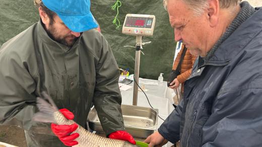 Tovačovští obyvatelé chodí do rybářství nejvíce pro kapry