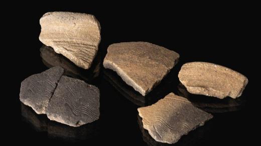 pomocí moderních metod možné dokonaleji popsat život před mnoha a mnoha staletími