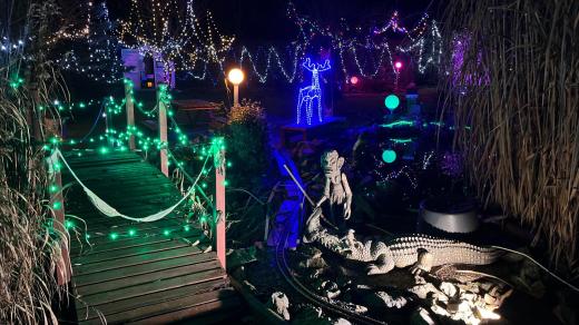 Vánoční zahradu v Přestavlkách buduje rodina už několik let