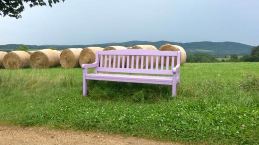 Pastvina na Novohradsku