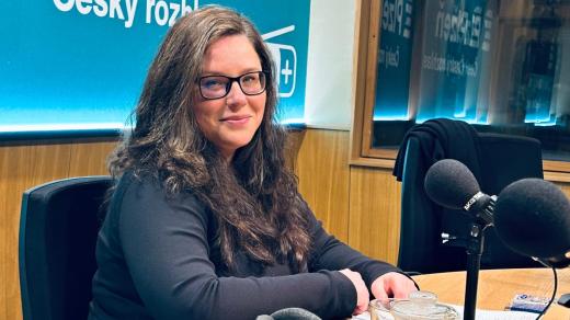 Michaela Bednáriková, Advokátní kancelář Cink a partneři