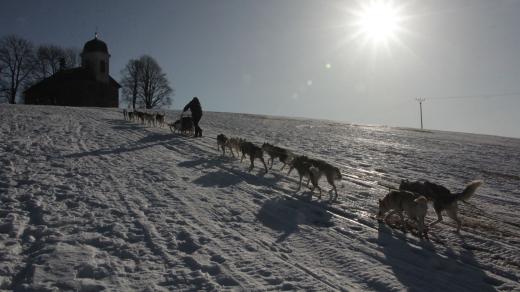 Závod psích spřežení ŠEDIVÁČKŮV LONG