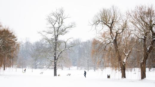 Sníh v Praze (ilustrační foto)