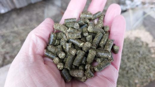 Vojtěškové granule