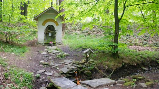 Kaple sv. Antonína s pramenem minerální vody nedaleko Staměřic na Lipensku