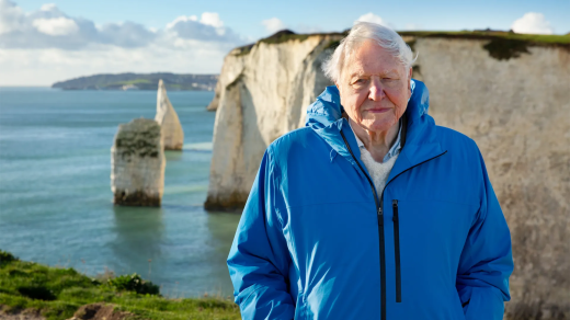 Přírodovědec David Attenborough