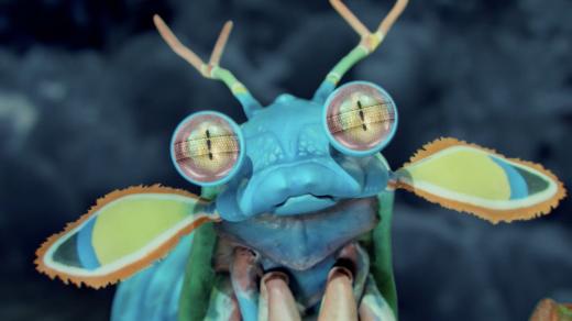 9 milionů barev · Česká republika, Norsko, Německo · 2025