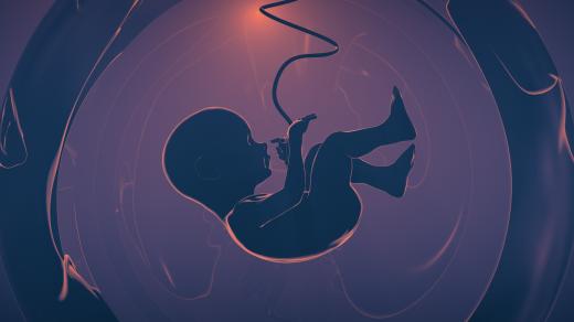 Paul Plamper-Julian Kamphausen: Nezrození