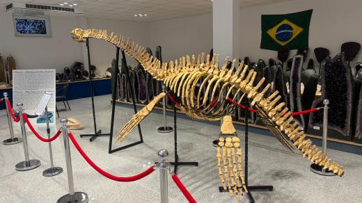 Kostra plesiosaura ve dvorské Galerii minerálů