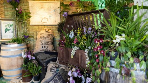 Výstava Orchideje: Cesty objevitelů, Botanická zahrada hl. m. Prahy