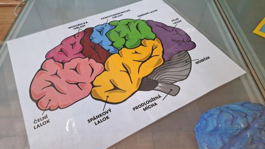 Berounské muzeum připravilo hru Zapni mozek o prázdninách