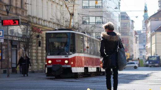 Rozkvetlé květiny před rektorátem Masarykovy univerzity