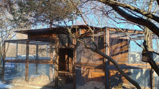 „Liškárium“ záchranné stanice zvířat v Třeboni