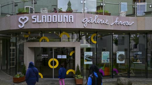 Výstava Mraveniště v písecké Sladovně láká na svět mravenců