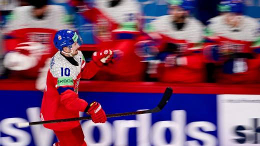 Roman Červenka slaví branku do sítě Švédska