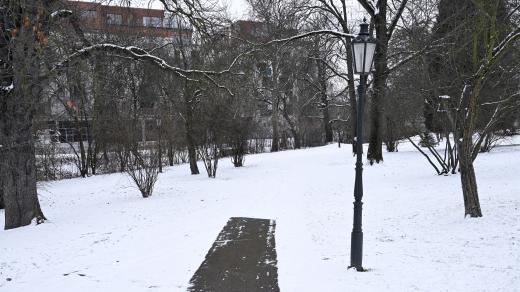 Zasněžená cesta