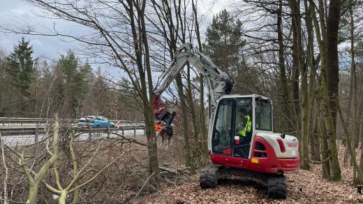 Stavba plotu u dálnice D4 mezi Mníškem pod Brdy a Dobříší