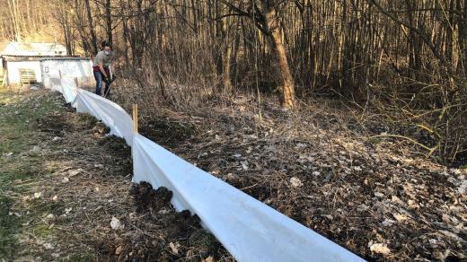 Ochranné bariéry pro migrující žáby