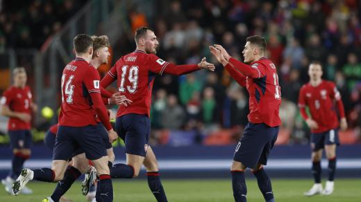 Patrik Schick slaví se spoluhráči proměněnou penaltu a snížení v duelu proti Irsku na 1:2