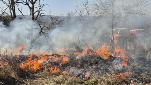 Kontrolované vypalování používají v Národním parku Podyjí jednou ročně