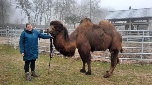 Aneta Kunertová a velbloud Aluha