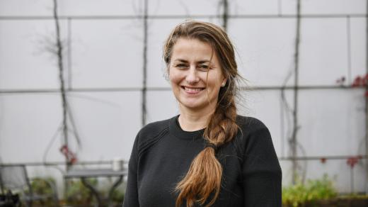 Kateřina Šedá, výtvarnice