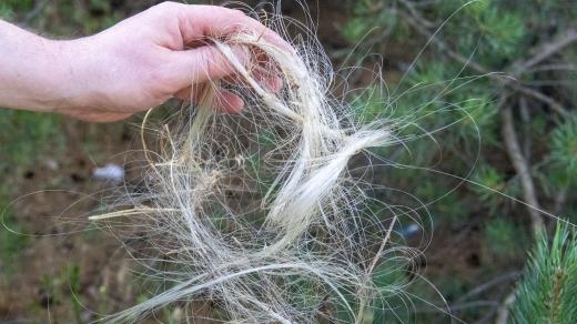 Optické vlákno na Ukrajině