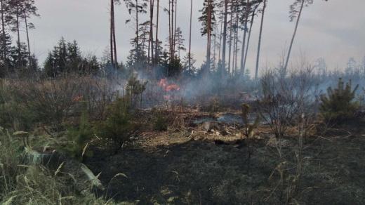 Šest desítek hasičů likvidovalo ve středu odpoledne požár na svahu mezi Vyskytnou nad Jihlavou a Ježenou