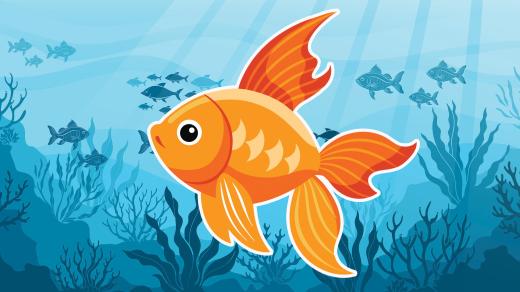 Splní zlatá rybka každé přání?