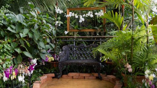 Výstava Orchideje: Cesty objevitelů, Botanická zahrada hl. m. Prahy