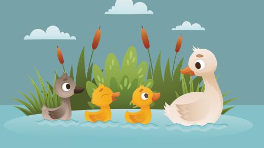 Co zažije ošklivé káčátko?