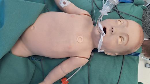 Figurína k nácviku modelových situací