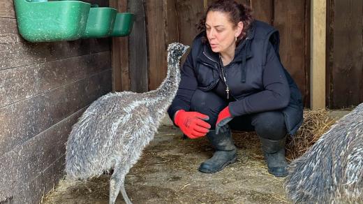 Lenka Zástěrová s jedním ze svých chovanců