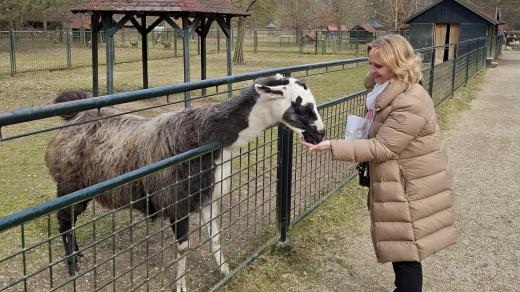Celý areál zámku v Častolovicích, včetně zvěřince a obory v parku, se už těší na Velikonoční svátky