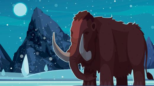 Jak se žilo mamutům?