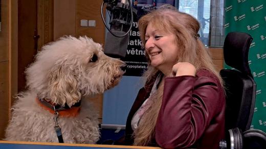Andrea Tvrdá, ředitelka Elva Help z.s. s fenkou labradudla Mikinou