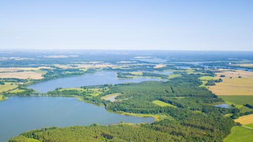 Rybníky Koclířov, Velký Tisý, Kaňov a Rožmberk na Třeboňsku