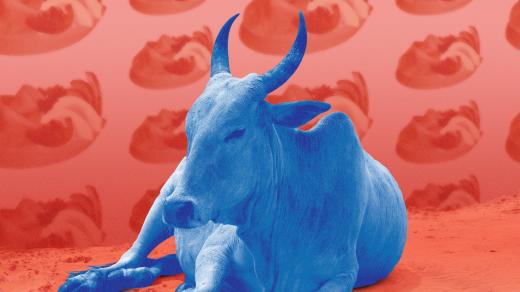 EU není posvátná kráva, říká Tomáš Petříček