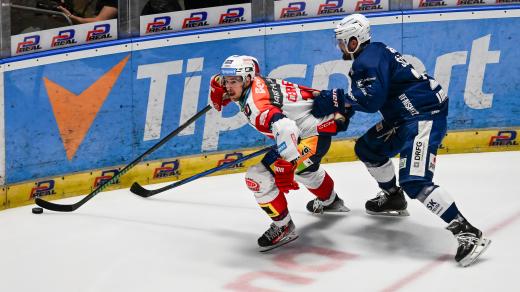 Ve čtvrtfinále play-off narazí Pardubic na Brno