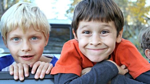 Kamarádi a přátelství