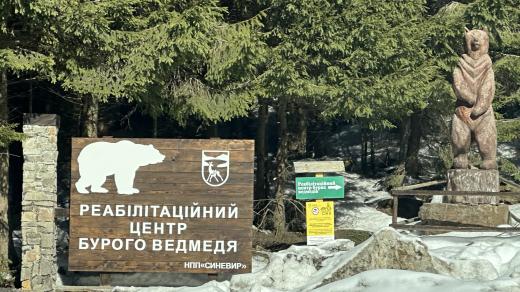 Záchranná stanice pro týrané medvědy v ukrajinských Karpatech
