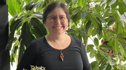 Sakurové květy v octu chutnají skvěle. U jarních rostlin se ale dá snadno udělat chyba, varuje odbornice