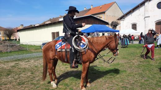 Plemenní hřebci se chovatelům i veřejnosti předvedli v Terezíně na přehlídce plemenných a původových koní