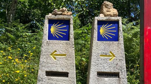 Camino aneb pouť do Compostely očima Karolíny Davidové