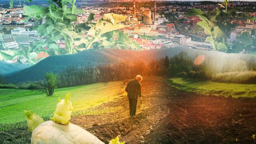 Monika Ostrovská: Pod povrchem